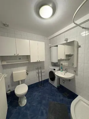a bathroom with a toilet and a sink at Apartma Vinko in Ljubljana