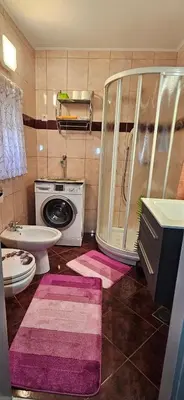 a bathroom with a shower and a toilet and a sink at Hiša JAVORNIK BOHINJ in Bohinj