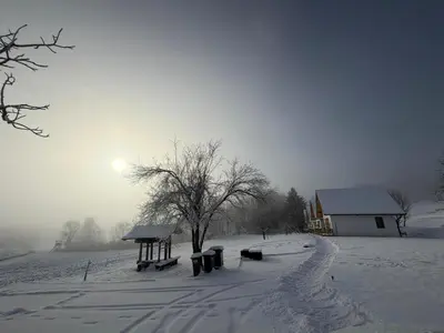 a snow covered field with benches and a tree at Oaza miru in zdravja Goričko in Moravske Toplice