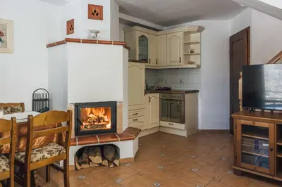 a kitchen with a fireplace in the middle of a room at Harmony Resort in Cerklje na Gorenjskem