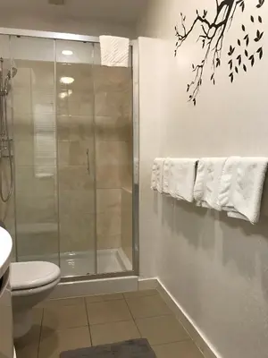a bathroom with a shower and a toilet at Apartmaji Sušnik in Bled