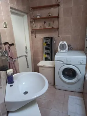 a bathroom with a washing machine and a white sink at Apartment Zorec in Maribor