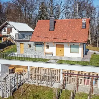 Holiday home in Trebnje - Kranjska (Krain) 53751