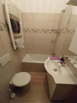 a small bathroom with a toilet and a sink at Apartma Pristavica in Veliki Gaber