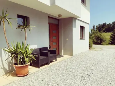 a house with a black couch and a palm tree at Apartma Pristavica in Veliki Gaber