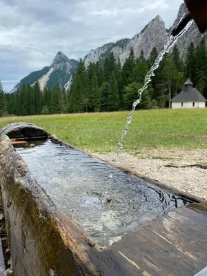 a water fountain in a field with mountains in the background at Apartma Confine in Rateče
