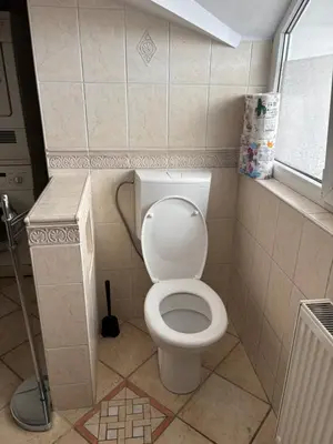 a bathroom with a white toilet in a room at Trnovo Lunca Apartment in Ljubljana