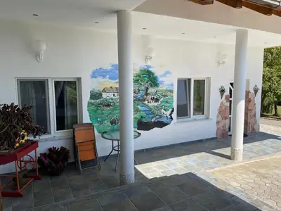 a mural on the side of a white building with windows at Vamiš Apartment in Stanjevci