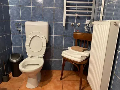 a bathroom with a toilet and a wooden chair at Vamiš Apartment in Stanjevci