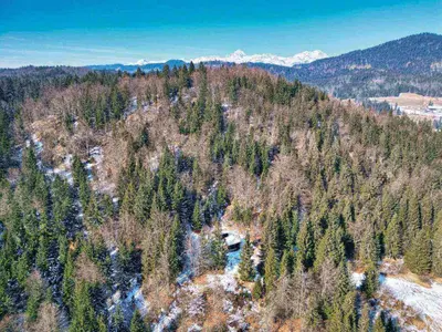 an aerial view of a mountain with trees and snow at Chalet Slavko in Bohinjska Bistrica