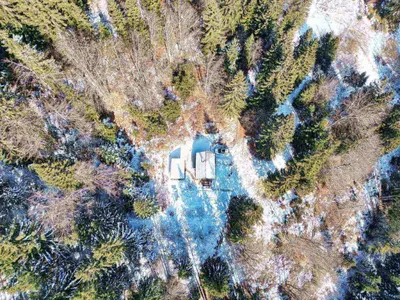 an aerial view of a house in the middle of a forest at Chalet Slavko in Bohinjska Bistrica