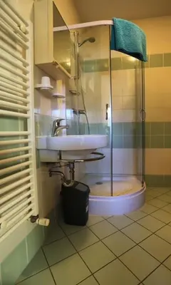 a bathroom with a sink and a glass shower at Apartment Harper in Bohinj