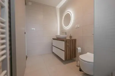 a bathroom with a sink and a toilet at Villa Brje with Seasonal Pool in Dobravlje