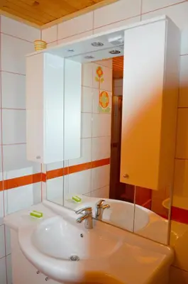 a bathroom with a sink and a large mirror at Brunarica Petric - Bela krajina - Komarna vas - Smučišče Gače - Semič in Komarna Vas