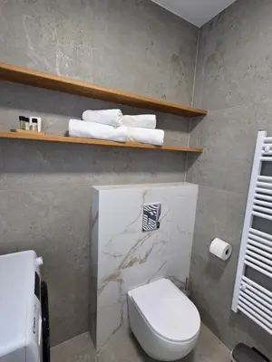a bathroom with a white toilet and some towels at Vila Natalia in Kranjska Gora