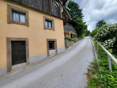 Gallery image of Mountain Rock Apartment in Bled