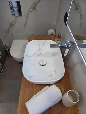 a bathroom with a white sink and a toilet at Vila Natalia in Kranjska Gora