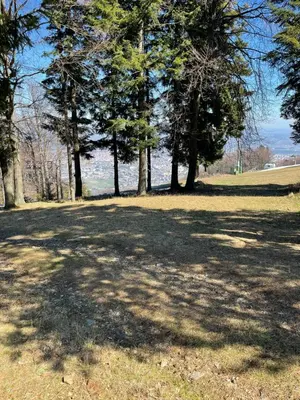a shady park with trees and water in the background at Chalet on Pohorje hill Maribor bike park next to the downhill track in Pohorje