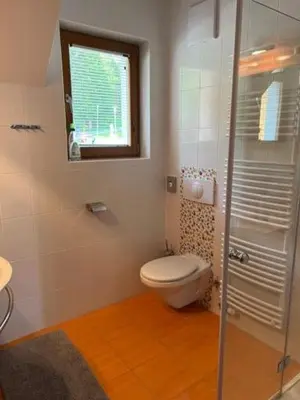 a bathroom with a toilet and a window at BOLFI LUX Apartma z balkonom in Pohorje