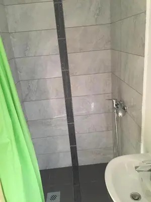 a bathroom with a shower and a sink at Hiša 1907 in Bled