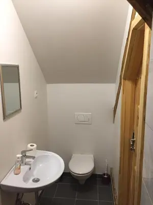 a bathroom with a white toilet and a sink at Hiša 1907 in Bled