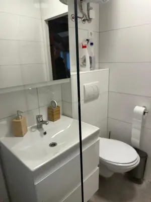 a white bathroom with a toilet and a sink at Family Holiday Home in Terme Čatež in Čatež ob Savi