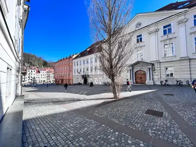 a city street with buildings and a tree in the middle at Modern studio apartment in the heart of old city in Ljubljana