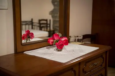 a table with flowers in a vase in front of a mirror at Pri Bregarju in Podsabotin