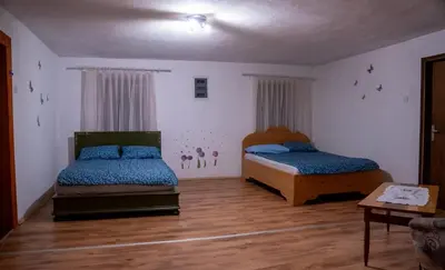 a bedroom with two beds and a wooden floor at Sigma house in Mojstrana