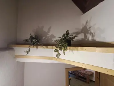 two plants sitting on a shelf in a room at Sigma house in Mojstrana