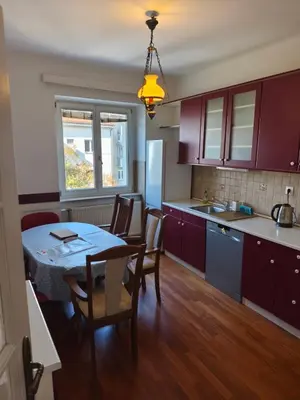 a kitchen with a table and a dining room at Villa Pinta Pika in Ljubljana
