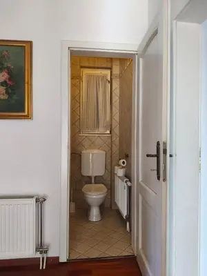 a bathroom with a toilet in a room at Villa Pinta Pika in Ljubljana