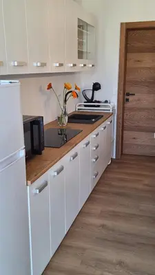 a white kitchen with a sink and a microwave at Apartment GA-JA in Ljubljana