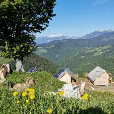 Scenic Glamping Huts with Mountain Views near Ljubno ob Savinji