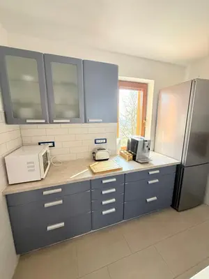a kitchen with blue cabinets and a refrigerator at Holiday house David in Podčetrtek