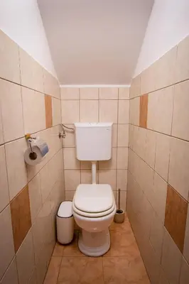 a bathroom with a white toilet in a room at Holiday house David in Podčetrtek