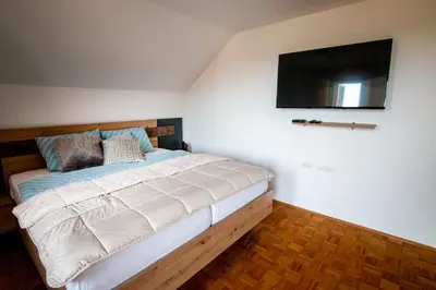 a bedroom with a bed with a television on the wall at Holiday house David in Podčetrtek