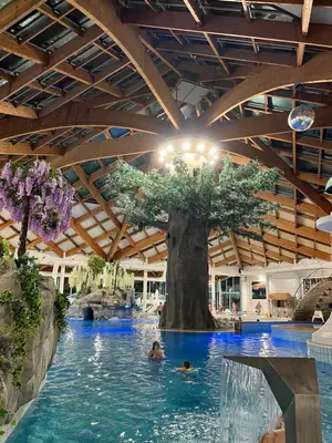 a tree in the middle of a pool with people in it at Mirni kotiček in Čatež ob Savi