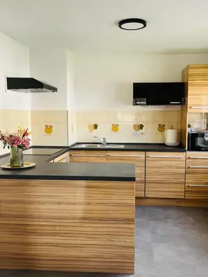 a large kitchen with wooden cabinets and a sink at Apartma Špan in Zgornje Gorje