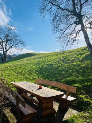 a wooden picnic table in a field with a tree at Apartma Špan in Zgornje Gorje
