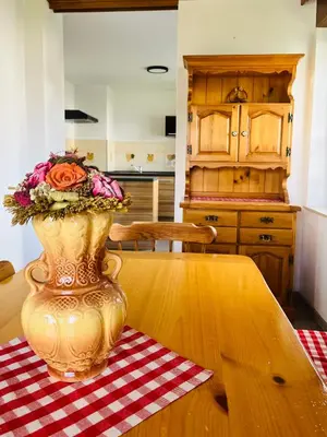 a vase with flowers on a table in a kitchen at Apartma Špan in Zgornje Gorje