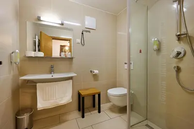 a bathroom with a toilet and a sink and a shower at Old Parish House in Bled