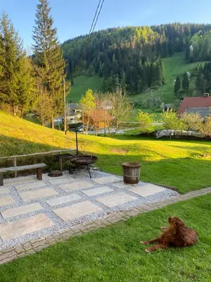 a dog laying on the grass next to a picnic table at Grannys Retreat in Žiri