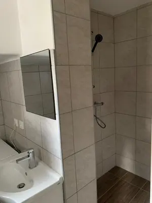 a bathroom with a shower with a sink and a mirror at Modern & Cozy Apartment Jesenice in Jesenice
