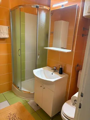 a bathroom with a sink and a shower and a toilet at Stefs Garden in Bovec