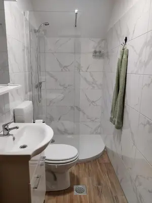 a bathroom with a toilet and a sink and a shower at Countryside house in Male Brusnice