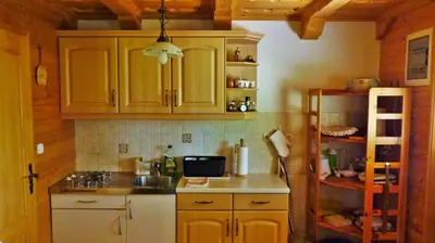 a kitchen with wooden cabinets and a sink and a refrigerator at Lodge Bled in Bled