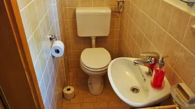 a small bathroom with a toilet and a sink at Lodge Bled in Bled