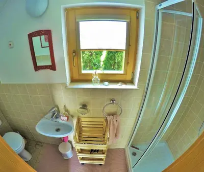 a small bathroom with a sink and a shower at Lodge Bled in Bled