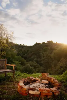 a fire pit in a field with a bench at Panoramablick 360 Grad in den Weinbergen in Tržec